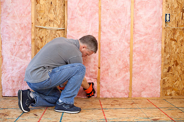 Best Insulation Maintenance and Repair in Headland, AL